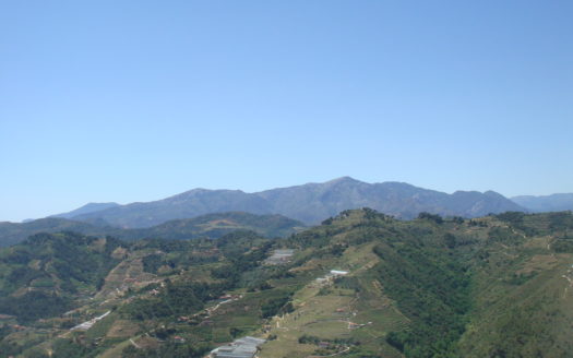 Villa Bordighera